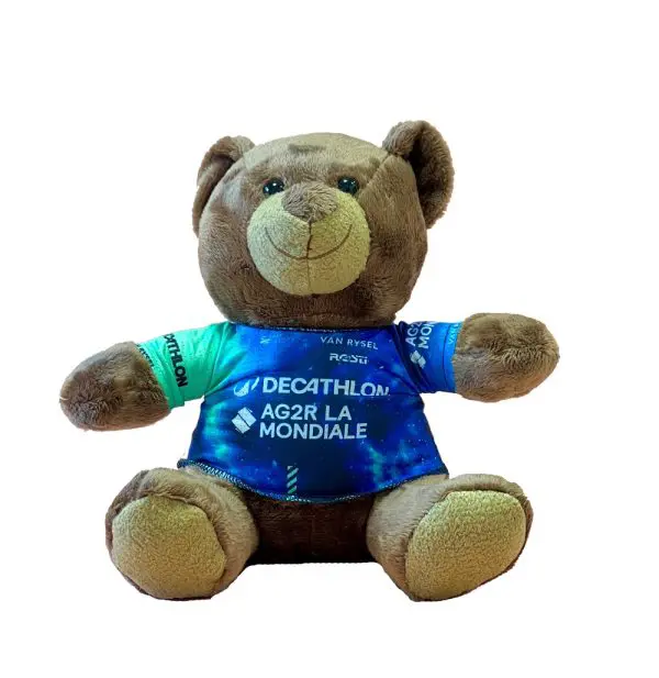 Peluche Ours 2024